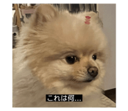 763524663