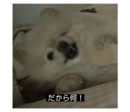 763524667
