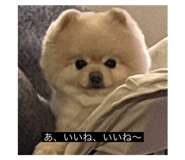 763524669