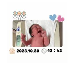763526644