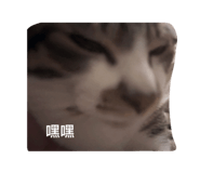 763528146