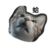 763528150