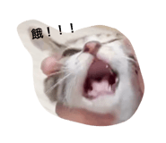 763528156
