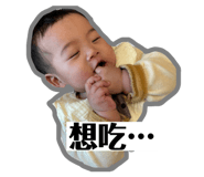 763528556