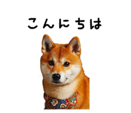 763529609