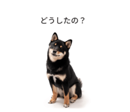 763529610