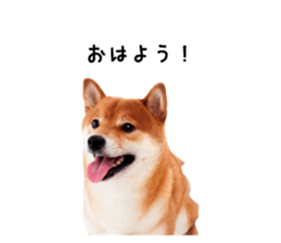 763529613