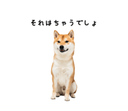 763529615