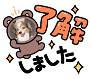 763530673
