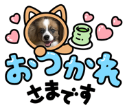 763530681