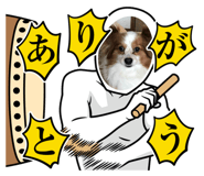 763530694