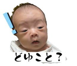 763531122