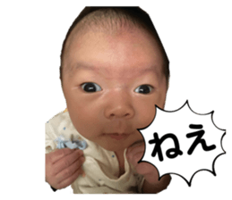 763531126