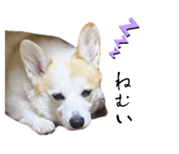 763532519