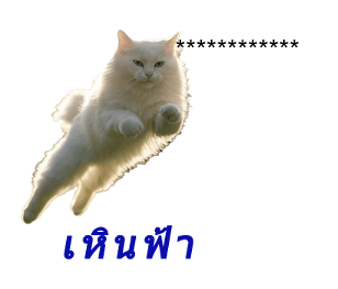 763532566