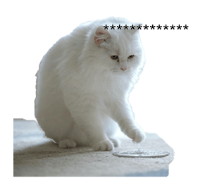 763532567