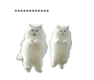763532572