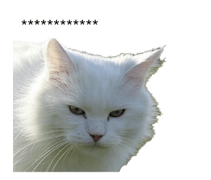 763532576