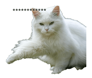 763532579