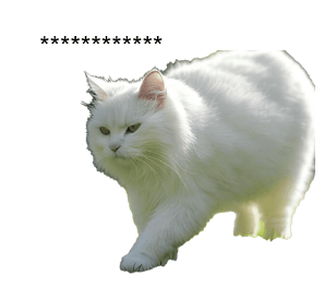 763532580