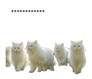 763532584