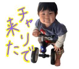 763533009