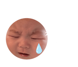 763534209