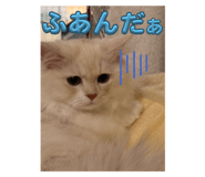 763534318
