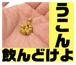 763534470