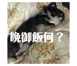763535749