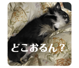 763535750
