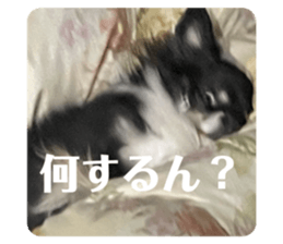 763535751