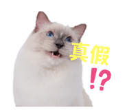 763535804