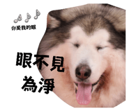 763535808