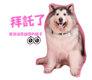 763535811
