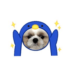 763538998