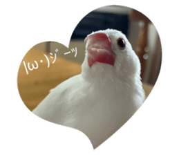 763542027