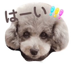 763544236