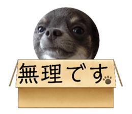 763548270
