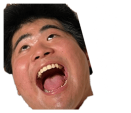 763551381