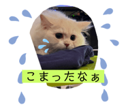 763551713