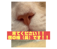 763551715
