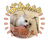 763551718