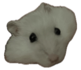 763556459