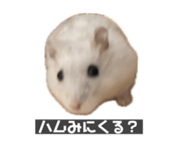 763556468