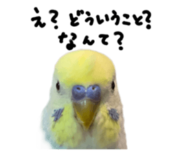 763557378