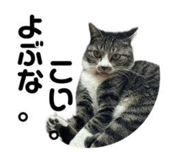 763565020