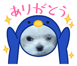 763577080