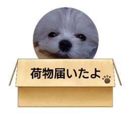 763577087