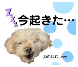 763583350